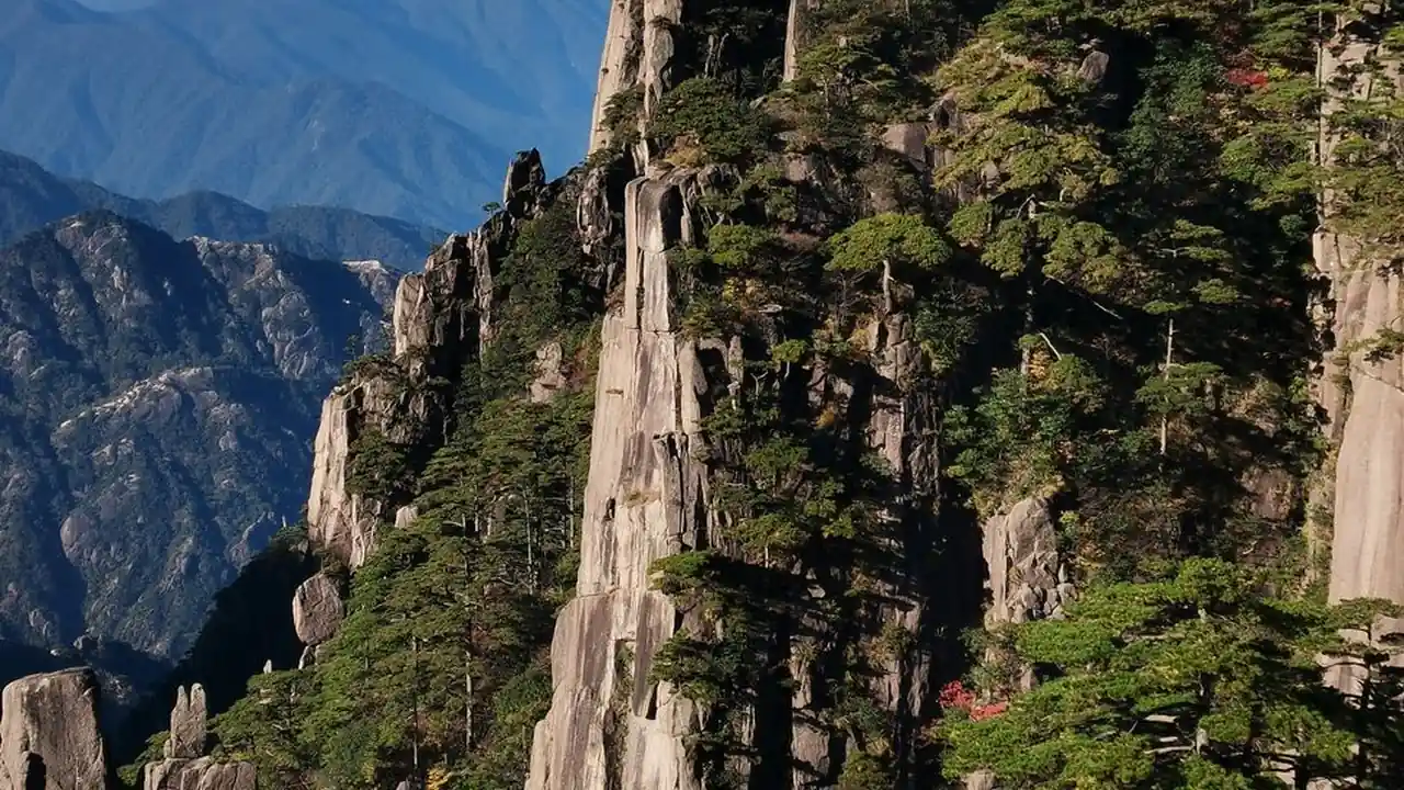 奇爱数码网是什么平台，能提供哪些数码资源与信息？