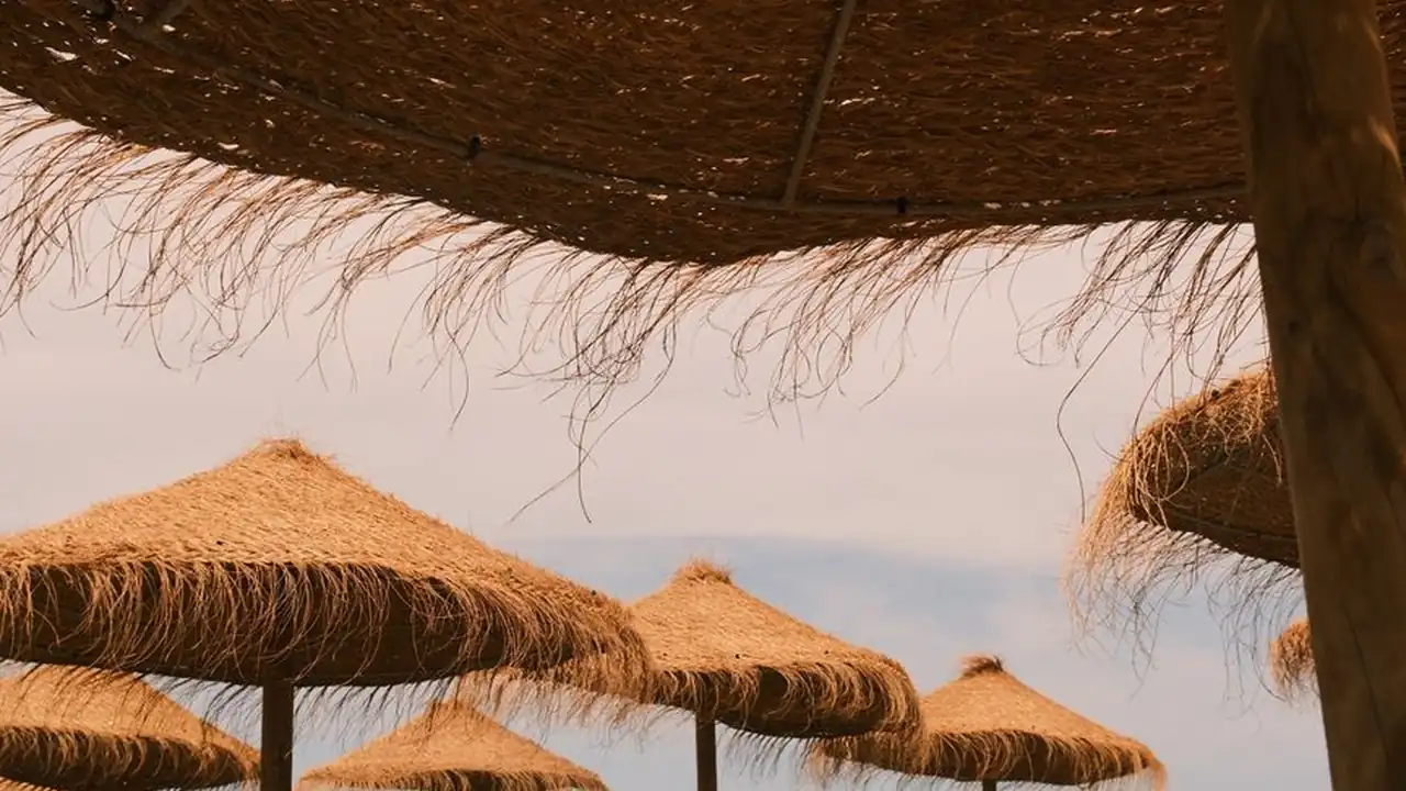 陈景恭头像