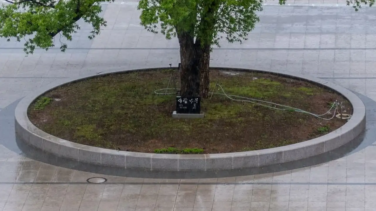 李钧星头像