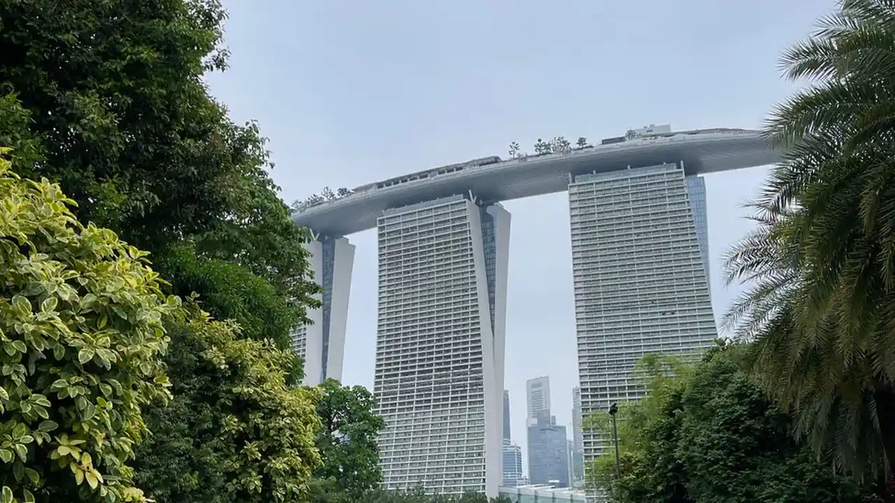 吴雅雯头像